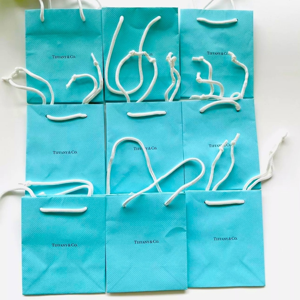 Authentic Brand new SMALL Tiffany & Co gift bags